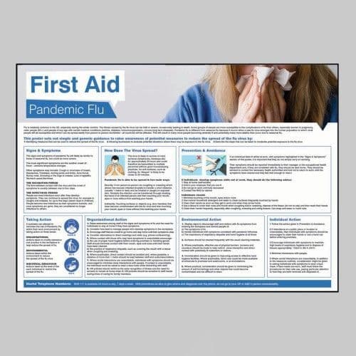 58138 Pandemic Flu Poster 594x420mm synthetic paper (594x420mm) Safety Sign