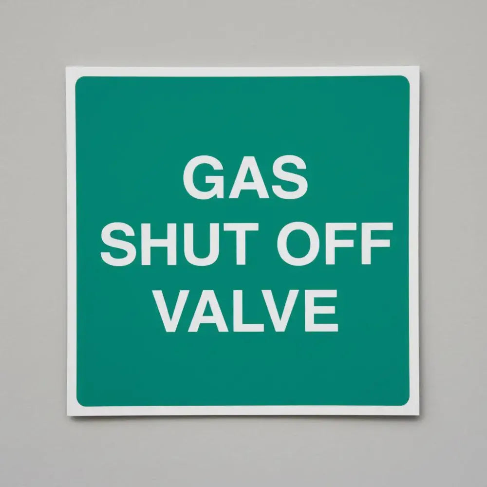 Gas shut off valve